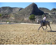 Rutas a Caballo