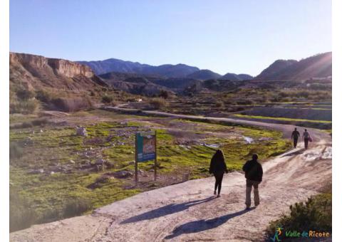 La Rambla de Benito en Abarán