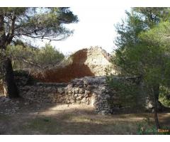 Pozos de la Nieve(Sierra de la Pila)