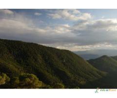 COLLADO DE LA MADERA