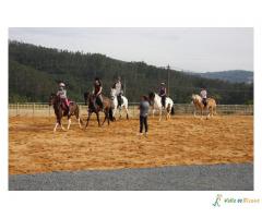 CURSO DE EQUITACIÓN